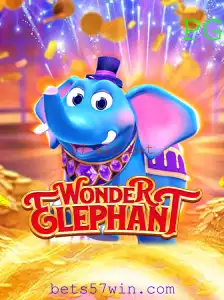 Descubra o Fascinante Mundo de WonderElephant e a Estratégia de Sucesso 57 Win Bet
